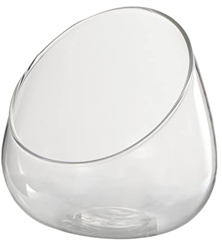 CAXUSD Glas-mikro-landschaftsflasche Für Sukkulenten Multifunktionale Große Terrarium-ökoflasche Für Pflanzen Und Deko Für Zuhause Und Partys