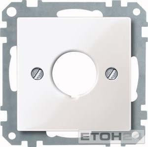 Merten Zentralplatte pws/gl 393819