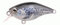Spro Ikiru Naturals Mini Crank 38 Floating - Short Lip Wobbler