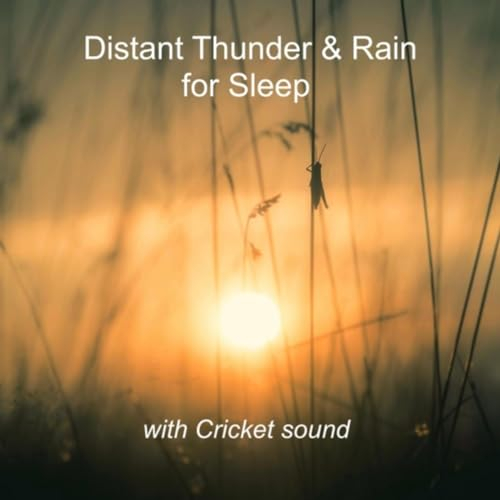 Distant Rain & Thunder for Sleep with Cricket Sounds
