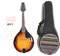 Mandolina Acstica de 8 Cuerdas, Juego de Instrumentos de Mandolina Acstica de Caoba, para Diestros, Principiantes Profesionales con Cuerdas, Bolsa, Pas, Pao de