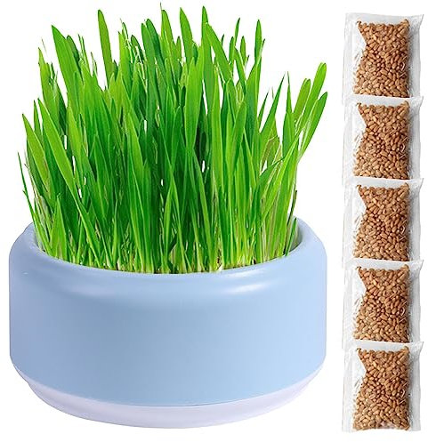 Virtcooy Cat Grass Planter | Cat Grass For Cats | Cat Grass Seeds | Cat Grass Planter Tray | Cat Grass Box | Cat Grass Growing Kit | Soil Free Cat Snacks For Digestion, Blue
