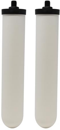 Newton Lot de 2 bougies filtrantes en céramique à montage court de 25,4 cm | Compatible avec les bougies Doulton 9504, 9501, W9123053, W9123006
