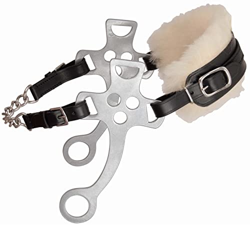 TdeT Hackamore – Pferd schwarz