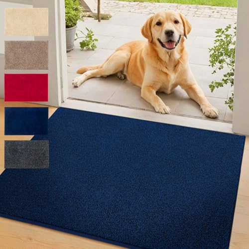 Floordirekt Schmutzfangmatte NASA, Dunkelblau - 60 x 150 cm Fußmatte, Türmatte für Eingangsbereich aus Polyester mit Rutschfester Unterseite
