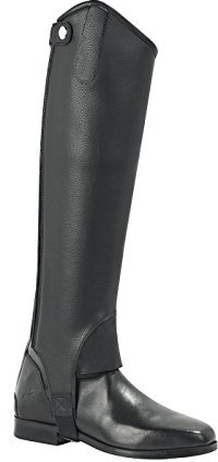 Busse