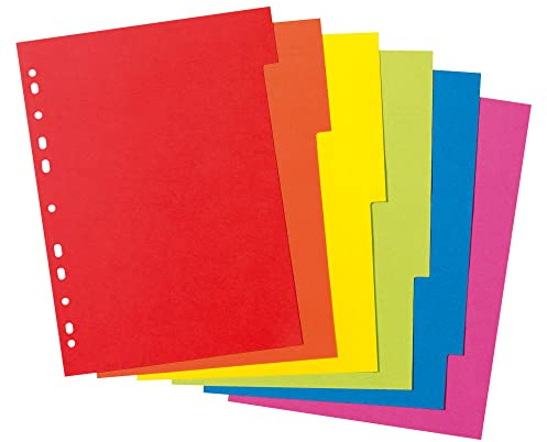 Herlitz 11078078 Kartonregister A4 aus Manilakarton, 6-teilig