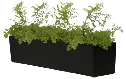 Primrose Fibreglass Herb Garden Indoor Outdoor Window Box Planter - Matt Black - H20 x L76cm