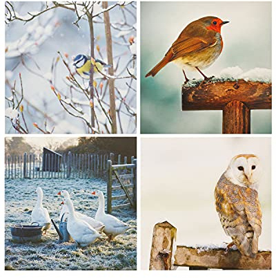 UK Greetings Weihnachtskarten für ihn/sie/Freund, 4 Vogelmotive, 16 Stück