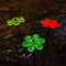 SunCatcher Garten Deko 3er Set Garten Statuen und Figuren mit Blumen in fluoreszierenden Farben. Sonnenfänger für Garten Balkon oder Terassen Dekoration, Farbe:red/Yellow/Green (3) TR