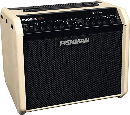 Fishman PRO-LBT-500-CR – Loudbox Mini 60 Watt Bluetooth Combo Akustik