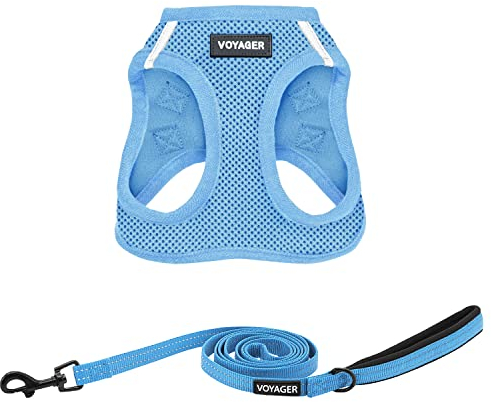Best Pet Supplies Voyager Step-in Air Allwetter-Mesh-Geschirr und reflektierende Hundeleine, Kombination mit Neopren-Griff, für kleine, mittelgroße und große Hunderassen, Größe XS