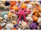 Jigsaw Puzzles Age 14+ for Adults 1000, Puzzles for Adults, Challenging Puzzles, Puzzle Game for The Whole for Women, Gifts for Men, Theme:Starfish Walking