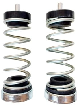 GENERICO Kit 2 Molle Rialzo Stabilizzatrici di Carico Compatibile per Fiat Panda 4x4 141 dal 1986 al 2004 e Autobianchi Y10 4X4 0305