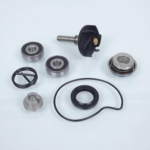 bomba de agua sifam para derbi 125 gp1 scooter 2007 a 2008 nuevo