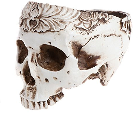 Saddgo Maceta de resina gótica con diseño de calavera para flores y suculentas