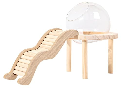 Gcljlmy Transparentes Glas Sandbad, Hamstersandbad, klares Glas Terrarium Behältertopf und Holzbasis für kleine Tiere, Hamster (S)