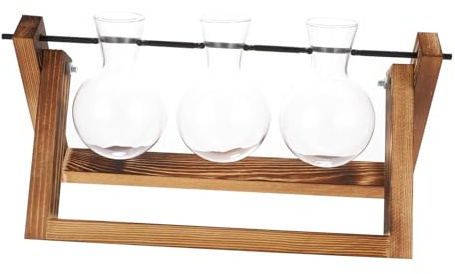 Parliky Desktop Wasserpflanzen Terrarium 3 Stück Glas Pflanzgefäß Mit Holzständer Tisch Terrarium Vermehrungsstation Für Hydroponik Und Wohnraumdekoration