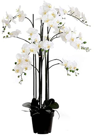 Mica decorations Phalaenopsis - Kunstpflanze - Crème - H117 cm
