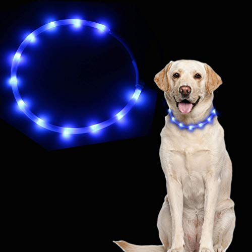 Dricar Leuchtender Hundehalsband, über USB wiederaufladbar, LED blinkendes Hundehalsband mit 3 Leuchtmodi, passend für kleine, mittelgroße und große Hunde Katzen (blau)
