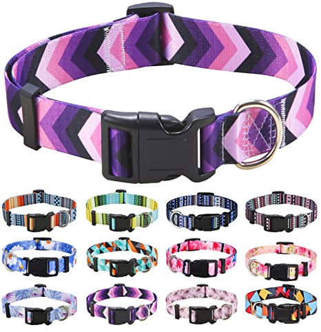 Mihqy Collier pour Chien, Motif Tendance avec Boucle à dégagement Rapide, Bohème, Fleur, Géométrique, Tribal Design, Collier Classique, pour Petits, Moyens et Grands Chiens(Flèche Violette,S)
