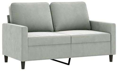 vidaXL Sofa 2 Sitzer, Couch für Wohnzimmer, Polstersofa mit Metallgestell, Loungesofa Zweisitzer Wohnzimmersofa Wohnzimmermöbel, Hellgrau Samt
