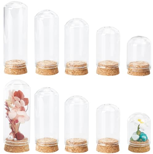 SUNNYCLUE 15 pcs Mini Dôme D'Affichage en Verre Cloche en Verre Cloche Petits Dômes en Verre avec Base en Bois Cloche en Verre Cloche Présentoir Mini Cloche Dôme pour Mariage, Maison, Artisanat, Fête