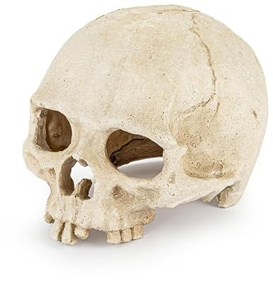 HAPPET Realistische Totenkopf Deko für Terrarium & Aquarium 15cm, Prähistorische Dekoration Fisch- & Reptilienversteck aus Harz, Totenschädel Ornament für Süßwasser & Salzwasser Dekoration Deko
