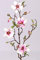 artplants.de Deko Magnolienzweig, 4 Blüten und Knospen, weiß - rosa, 80cm - Kunstzweig - Künstliche Magnolie