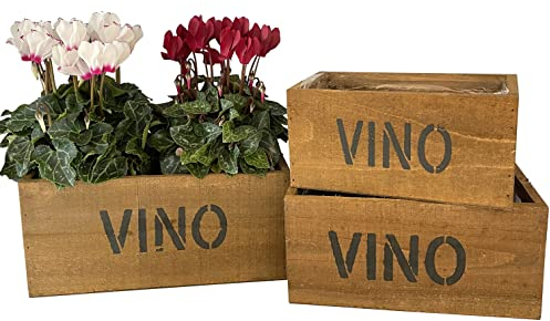 OF Alte Holzkisten VINO im Set - Blumentöpfe aus Holz - Vintage Look, Kräutertopf (3er Set klein)