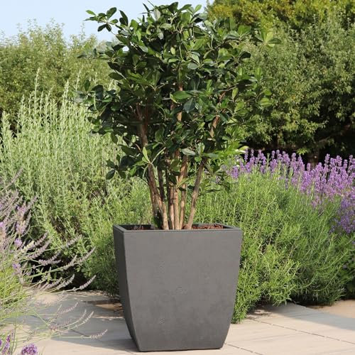 EDA Pflanzgefäß 'Diva Basalt', grau, ca. 43,5 x 43,5 x 44,2 cm