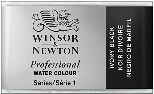 Winsor & Newton Professional Watercolor - Watercolor Paint, High Brightness, Light Resistant, Archive Quality, Bucket, Ivory Black Color