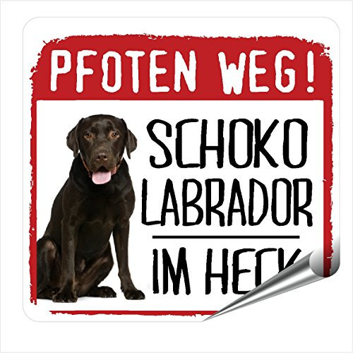 siviwonder Autoaufkleber Schoko Labrador im Heck reflektierende Reflexfolie Hinweis Hund im Auto 9 x 8 cm Sticker für Heckscheibe Heckklappe Stoßstange sichtbar Hundeaufkleber Pkw Kombi SUV Wohnmobil