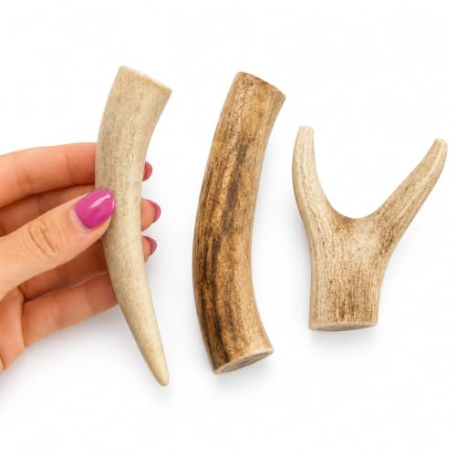 Treaby XS Deer Antler Chews for Dogs – Pack of 3 | Extra Small Puppy & Toy Breed Natural Chews (7–9cm) | Long-Lasting, Odourless, Grain-Free & Sustainably Sourced | Dental Support & Safe Chewing