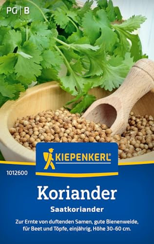 Kiepenkerl Koriandersamen Saatkoriander 1012600 – Aromatische Gewürzsamen für kreative asiatische Küche, Kräutersamen für Garten & Töpfe, Kräutersamen für 70 Pflanzen