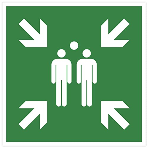 Exacompta - Ref. 67120E - 1 panel adhesivo para puntos de montaje - En vinilo tratado antideslizante y resistente a los rayos UV - Diámetro del panel: 30 cm - Color: verde