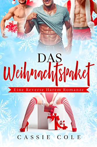 Das Weihnachtspaket: Eine Reverse Harem Romanze