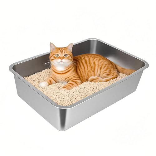 Edelstahl Katzenklo Katzentoilette, Metall Katzenklo für Große Katzen, 50 x 35 x 10 cm, Offen Katzenklo ohne Deckel, Keine Geruchsabsorption, Leicht zu Reinigen, Auslaufsicher, Rostfrei