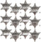 Bedwina Distintivi Sceriffo in Metallo - (Confezione da 24) Distintivi Nominali Stella d'Argento con Adesivi per Nomi Personalizzati, Distintivo da Cowboy Occidentale Vestire Giocattoli per Bambini