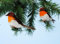 Pack of 2-14cm Robins Table/Cake Christmas Decoration/Christmas Tree Decoration