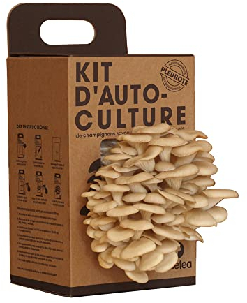 Resetea - Kit D´auto-culture - Champignons huitre sur des marcs de café y recyclés Kraft