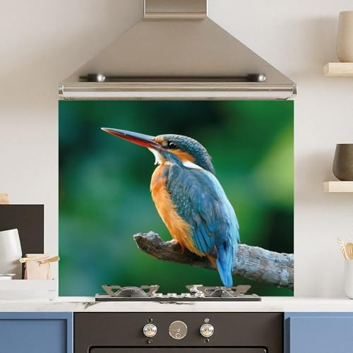 Premium 90 x 75cm Kingfisher 6mm Glass Toughtened Kitchen Splashback