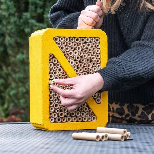 CJ Wildlife Insektenhotel Füllmaterial – Niströhren für Wildbienen aus Schilfrohr – Bambus Braun – 70 mm & 90 mm Ersatz Nisthülsen