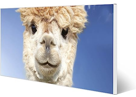 banjado® Magnettafel 78 x 37cm / Magnetwand aus Metall/Magnetpinnwand als Memoboard/Pinnwand Magnettafel Küche, Büro, Kinderzimmer inkl. 4 Magnete & Montageset - Lama