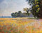 1art1 Claude Monet Poster Haferfeld Mit Mohnblumen, 1890 Kunstdruck Bild 50x40 cm