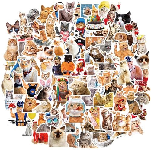 Amaxiu Funny Vinyl Cat Decals, 100 Pcs Cute Cat Stickers for Water Bottles, Scrapbook, Laptop & More
