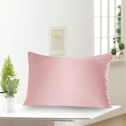 townssilk Taie d'oreiller en Soie, 100% Soie de mûrier Naturelle 19 Momme, Deux Faces en Soie, certifiée Oeko-Tex, Douce pour la Peau et Les Cheveux, 1 unité,50x65cm,Rose poudré