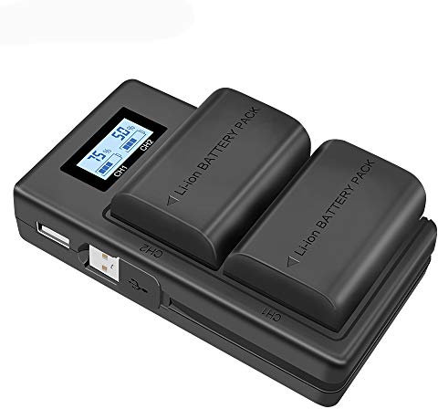 CITYORK LP-E6 Batterie de Remplacement et Chargeur Rapide Double USB 2-Pack 2000mAh pour Canon EOS 5D Mark II/III/IV, 5DS, 5DS, 6D, 7D, 7D Mark II, 60D, 60Da, 70D