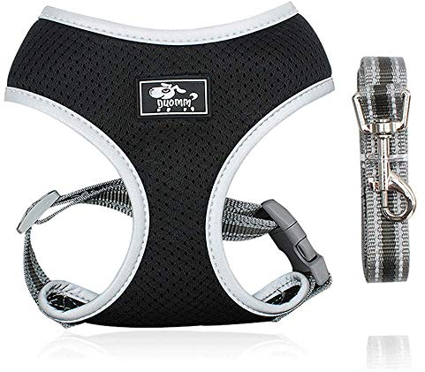Dociote Hundegeschirr Set mit Leine - Brustgeschirr Welpengeschirr Set mit Leine & Reflektorstreifen verstellbares Geschirr für Welpen kleine Hunde Katzen Schwarz XS