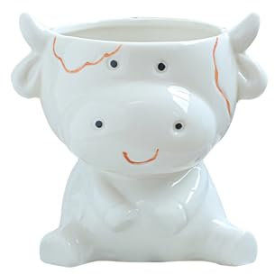 Macetas suculentas de cerámica para el hogar, animales, plantas verdes, plantas en macetas, oficina, adornos de cerámica creativos personalizados, macetas de 50 cm de alto (E, talla única)